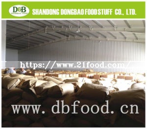 High Quality GMP Standard Ad Garlic Powder/Garlic Flake/Garlic Granules