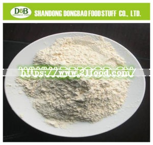 Garlic Powder Dried Garlic Powder Dehydrated Garlic Powder Dry Garlic Powder