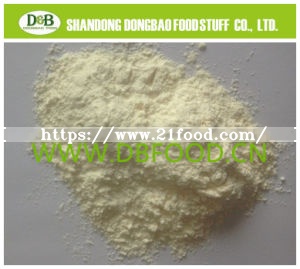 Garlic Powder Dried Garlic Powder Dehydrated Garlic Powder Dry Garlic Powder
