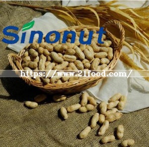 Blanched Peanut Kernels