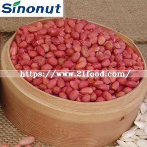 Blanched Peanut Kernels
