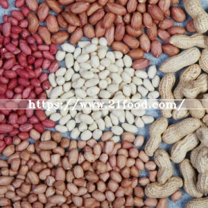 New Crop Peanuts in Shell
