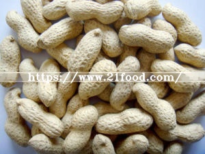 New Crop Peanuts in Shell