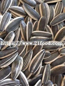 Professional Exporting High Quality Sunflower Seeds
