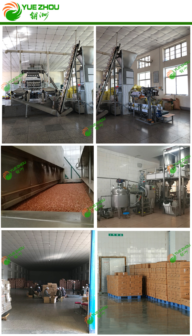 Top Quality Raw Peanut in Shell with Cheap Price