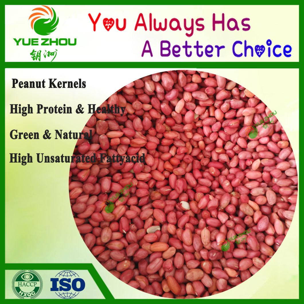 60/70 Red Skin Peanuts Kernerls with 25kg Vacuum Bag Packing