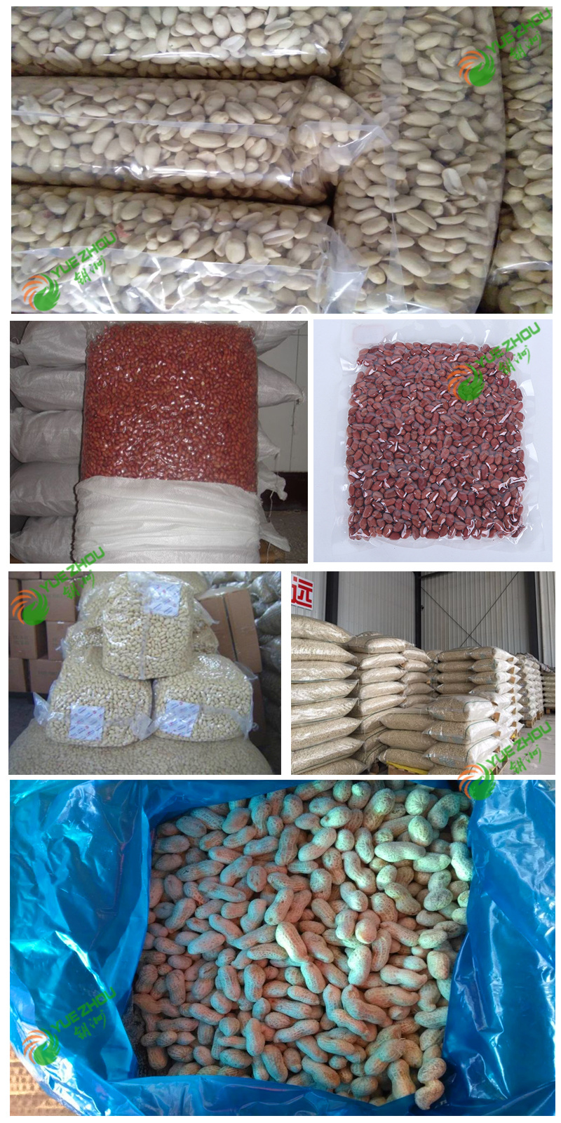 60/70 Red Skin Peanuts Kernerls with 25kg Vacuum Bag Packing