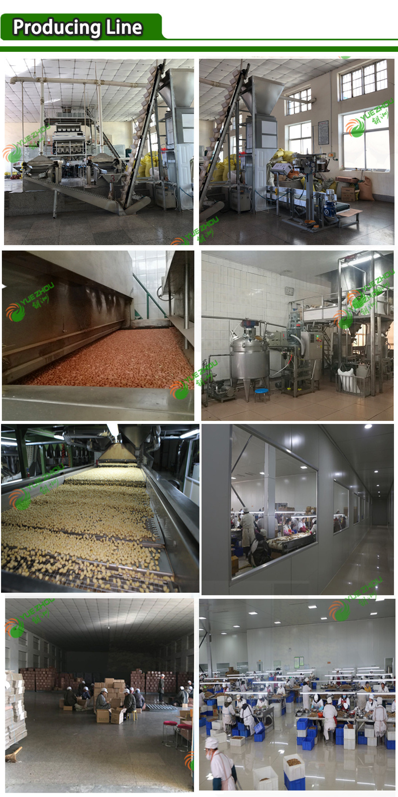 Raw Red Skin Peanut Kernel with Factory Price