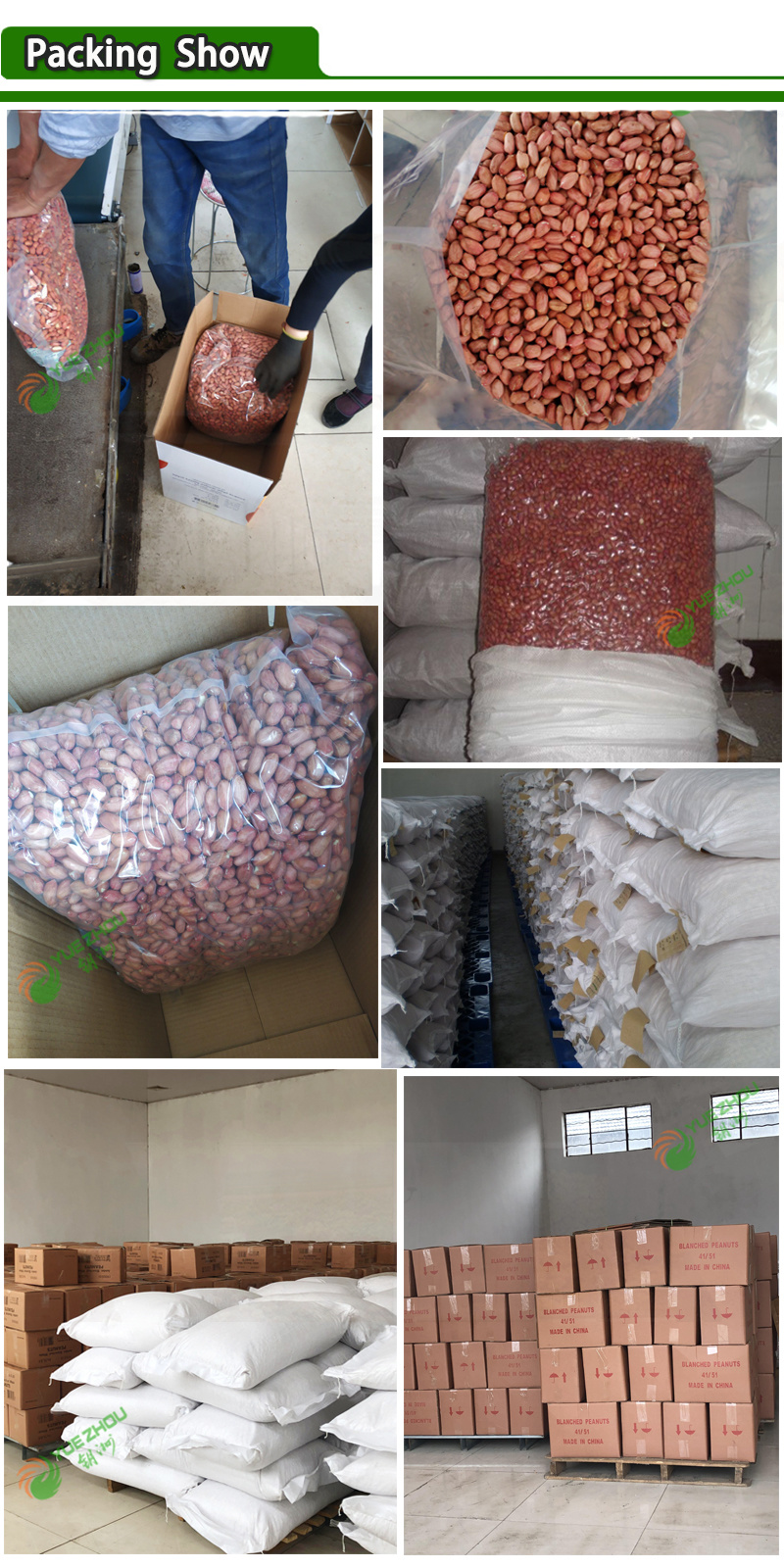 Raw Red Skin Peanut Kernel with Factory Price