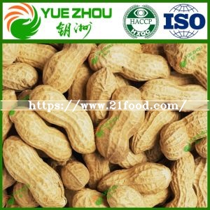 Top Quality Raw Peanut in Shell with Cheap Price