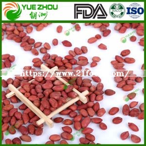60/70 Red Skin Peanuts Kernerls with 25kg Vacuum Bag Packing