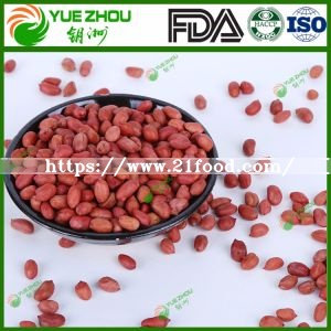 60/70 Red Skin Peanuts Kernerls with 25kg Vacuum Bag Packing