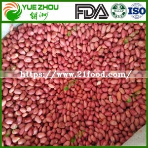 60/70 Red Skin Peanuts Kernerls with 25kg Vacuum Bag Packing