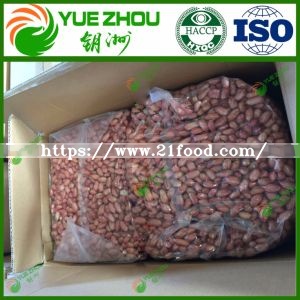Silihong 60/70 Peanuts Kernerls Red Skin Peanut Kernels From Dongbei