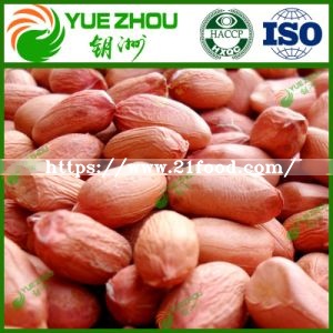 Raw Red Skin Peanut Kernel with Factory Price