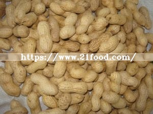 New Crop 2018, Peanut in Shell, 9/11, Origin of China