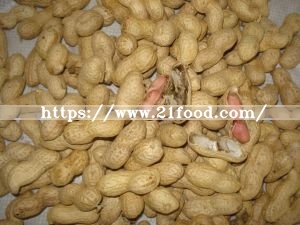 New Crop 2018, Peanut in Shell, 9/11, Origin of China