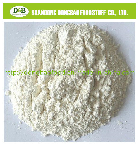2017 New Crop 100% Pure Dehydrated Garlic Powder 100-120 Mesh From Factory