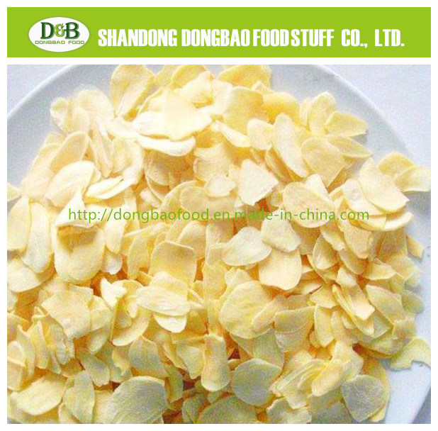 Hot Air-Dried Garlic Slice
