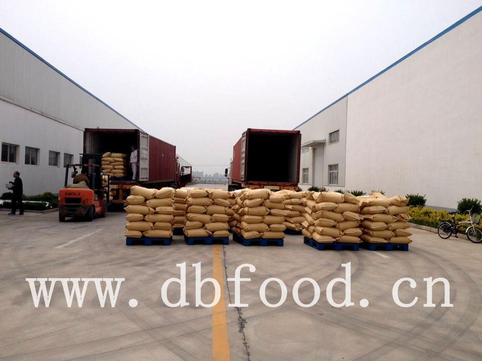Garlic Granules Granulated Garlic for USA Market