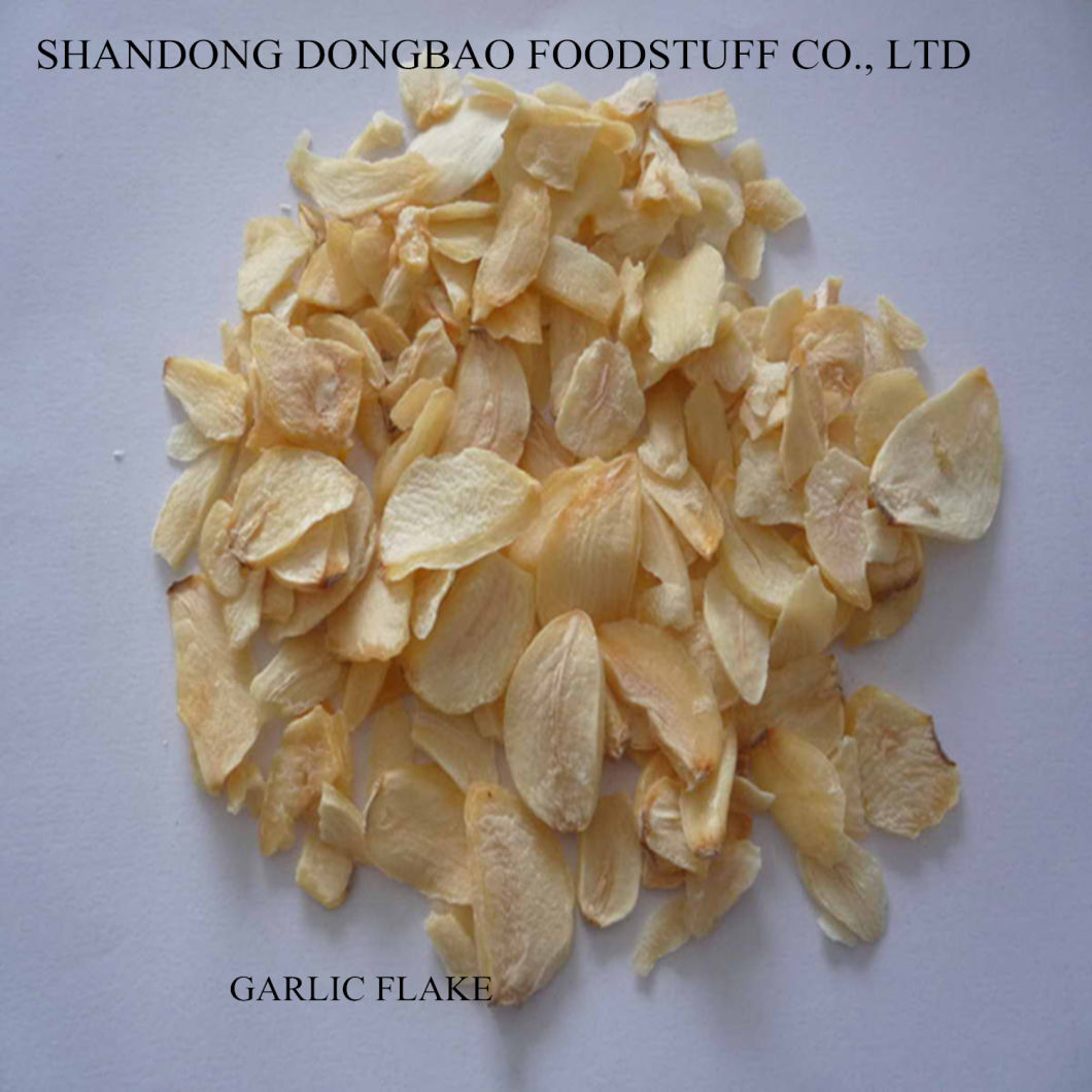 Garlic Flake Grade a, B, C with Root and Without Root with Good Quality