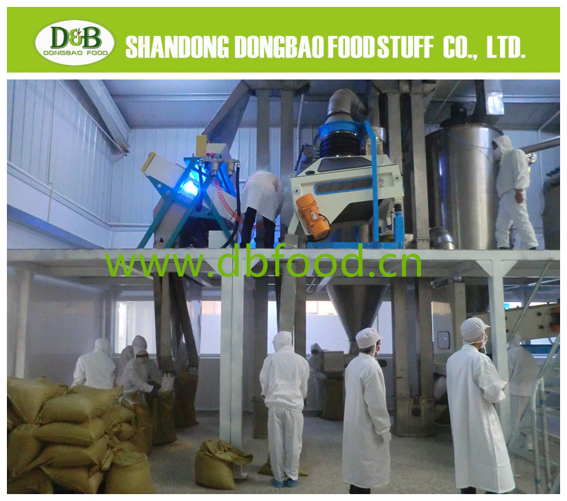 Onion Granule 40-80mesh 100% Pure Onion