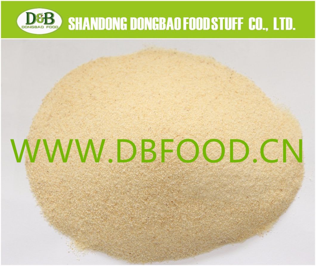 Garlic Granules Specification