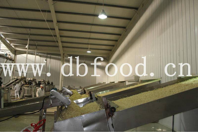 Dehydrated Garlic Granules with HACCP Halal FDA Kosher.