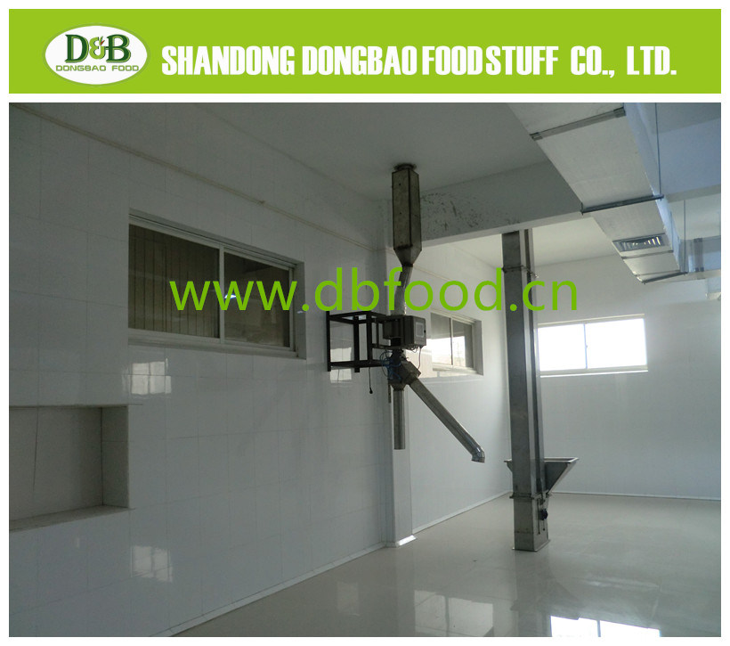 Organice Onion Chopped 5-8mesh
