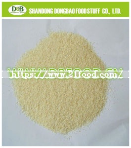 Garlic Granule 5-8mesh with HACCP Chopped Garlic