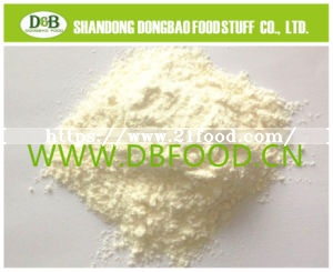 Garlic Granule 26-40mesh G2 for Eruope Market A Grade