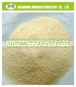 Garlic Granule Ad 26-40 Mesh with Brc a