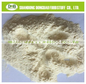 Garlic Powder 100-120mesh No Peanut Allergen with Savory Spice