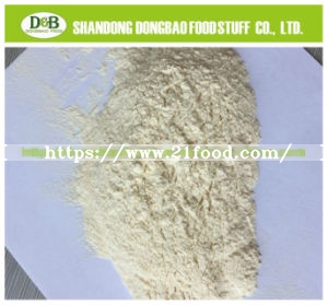Garlic Powder 100-120mesh No Peanut Allergen with Savory Spice