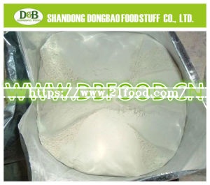 2017 High Purity Top Quality Dried Garlic Powder 100-120mesh