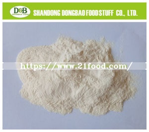 Dehydrated Garlic Dry Garlic Powder