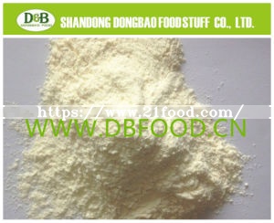 Dehydrated Garlic Dry Garlic Powder