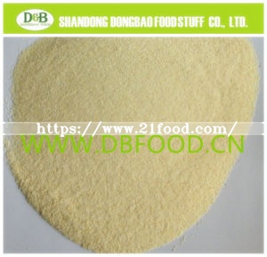 Garlic Granules Granulated Garlic for USA Market