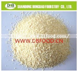Garlic Granules Granulated Garlic for USA Market