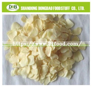 Garlic Granule 26-40mesh G2 with Kosher Certificate
