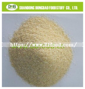 High Quality Onion Granule Natural Spice