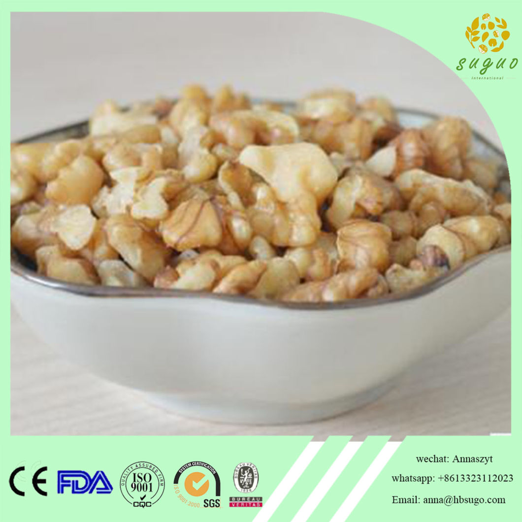 Walnut Kernel in Pieces Light White