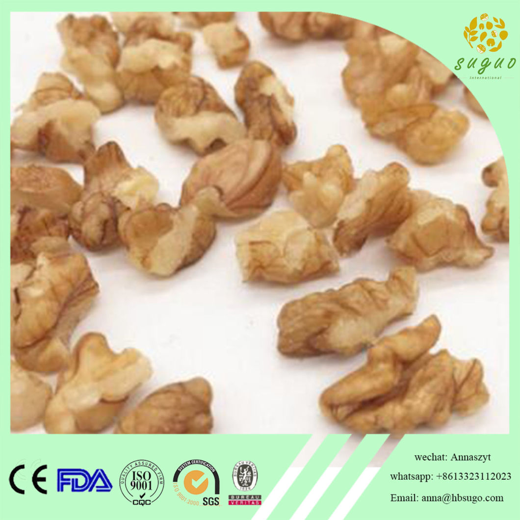 Walnut Kernel in Pieces Light White