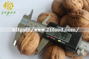Walnut in Shell Xin2