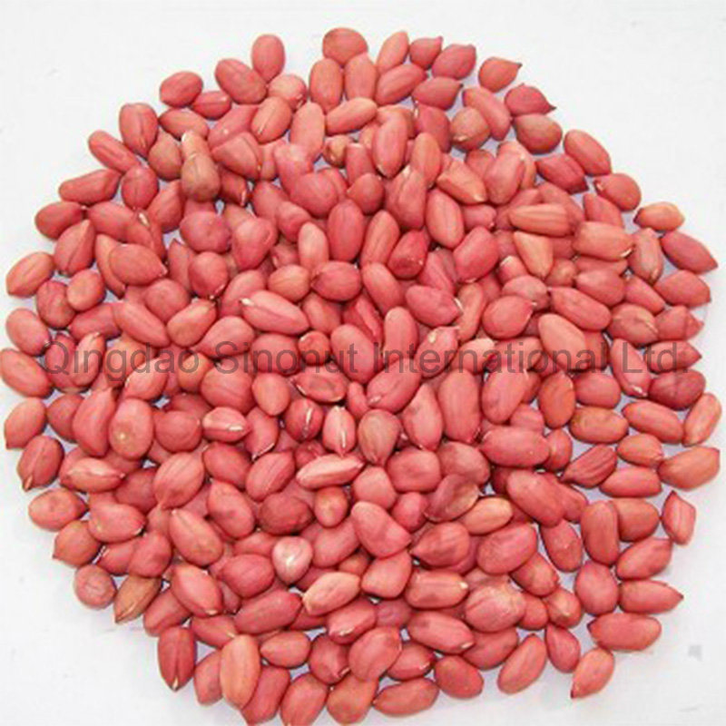 Red Peanut Kernels 24/28 From China Supplier