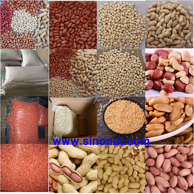 Blanched Peanut Kernels Long Shape