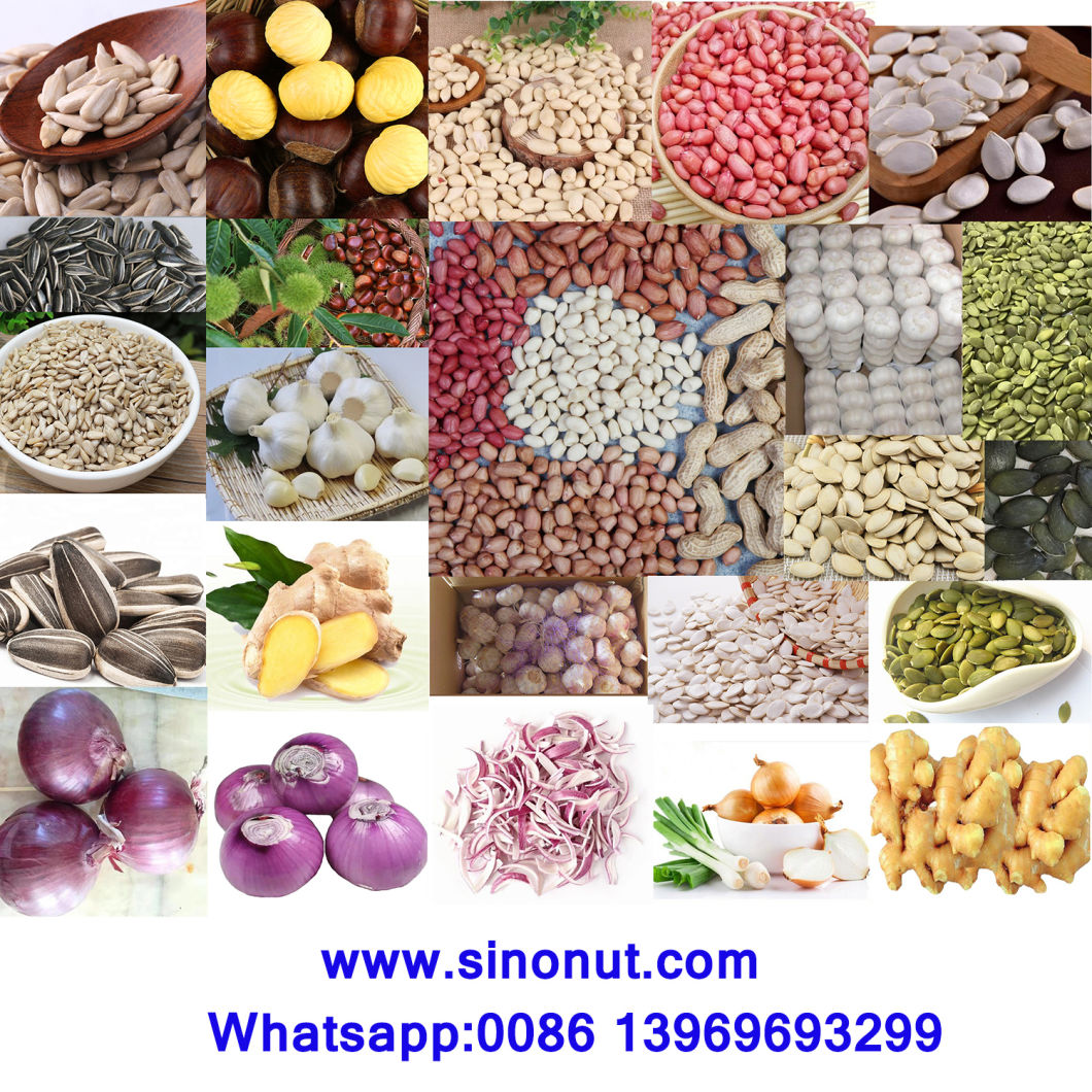 New Crop Peanuts Without Skin