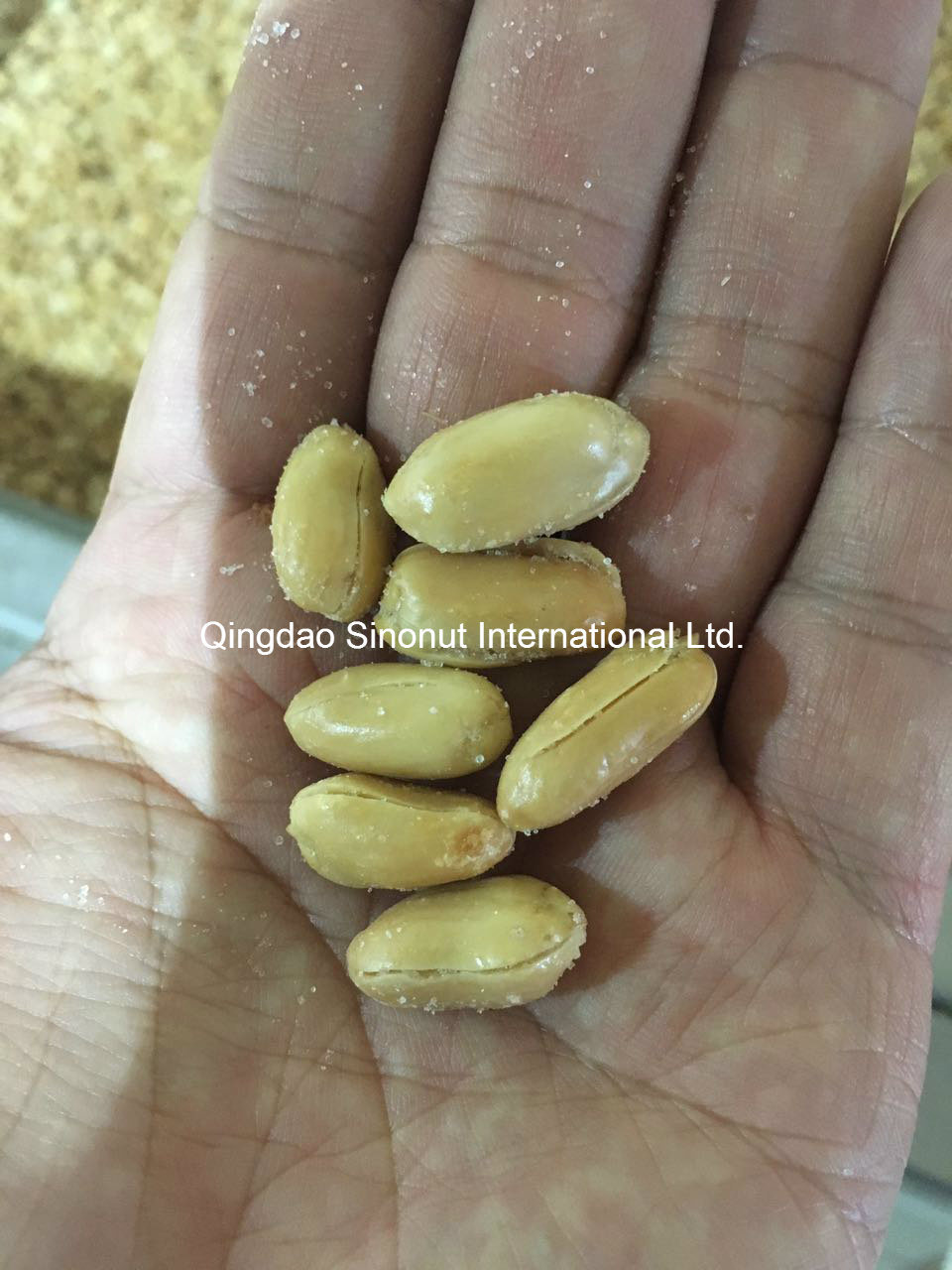Roasted Peanut Kernels Salty and Unsalty Taste