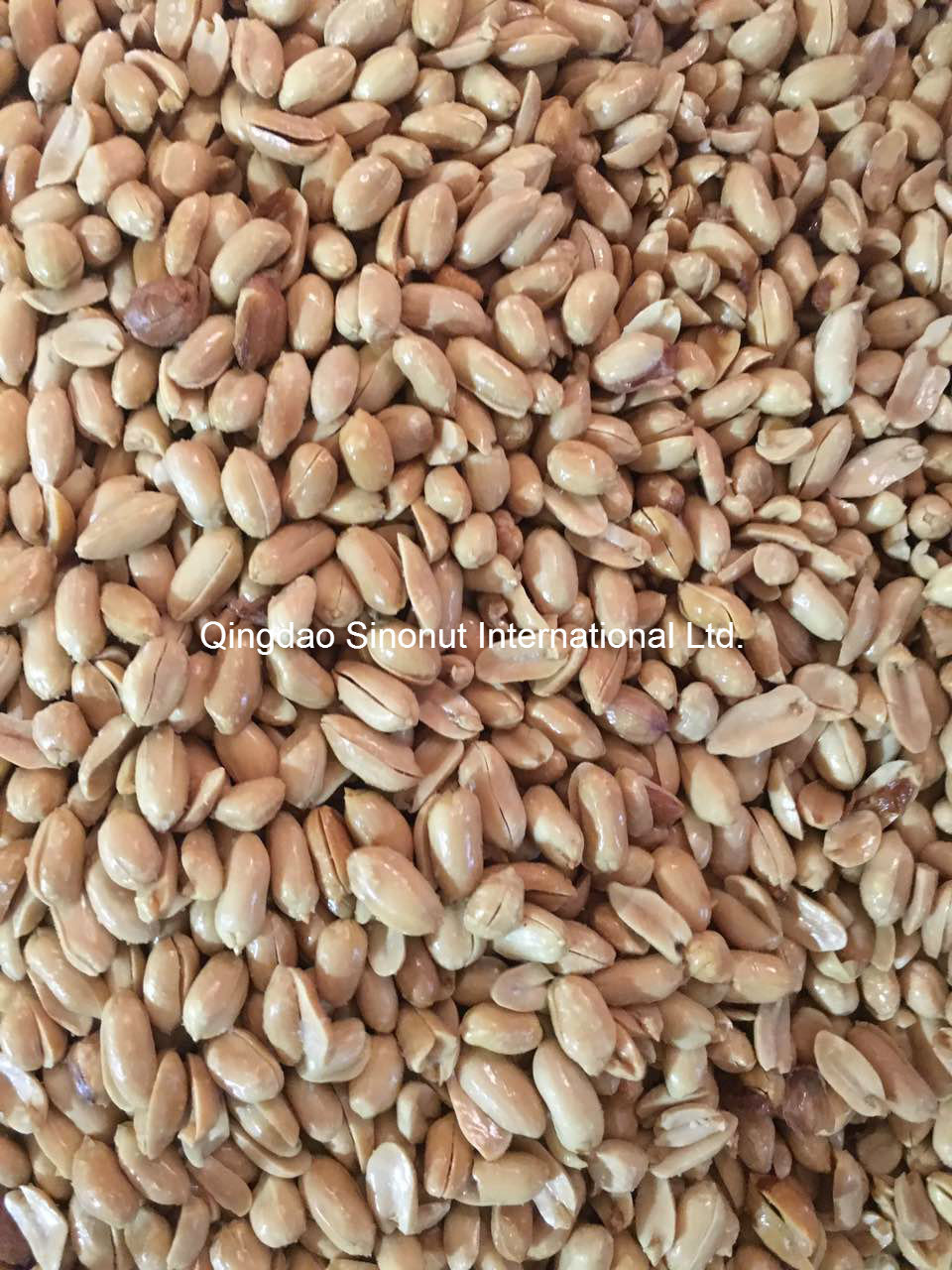 Roasted Peanut Kernels Salty and Unsalty Taste