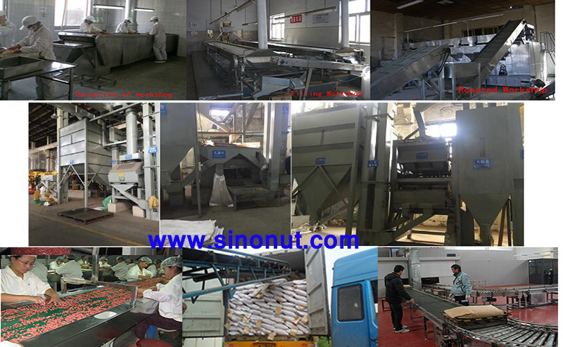 Top Selection Peanut in Shell
